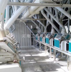 河南芝麻磨粉机选购：投资面粉厂如何做好费用控制